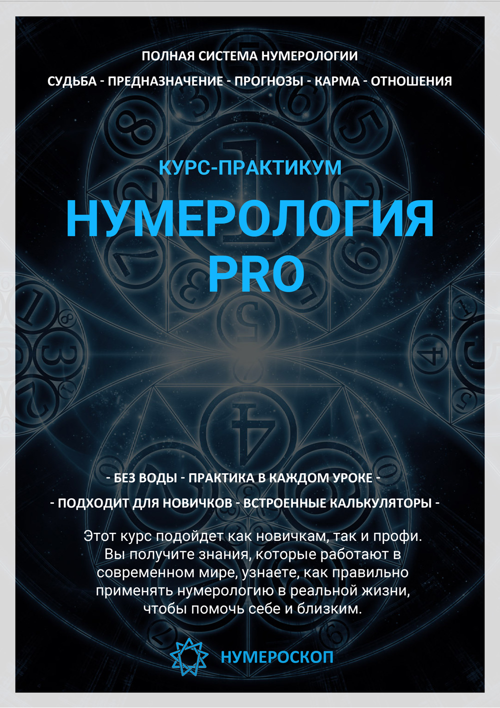 Курс-практикум Нумерология PRO (Оптимум)