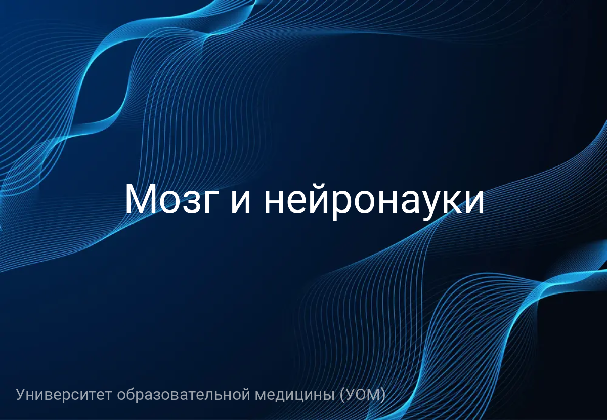 Мозг и нейронауки