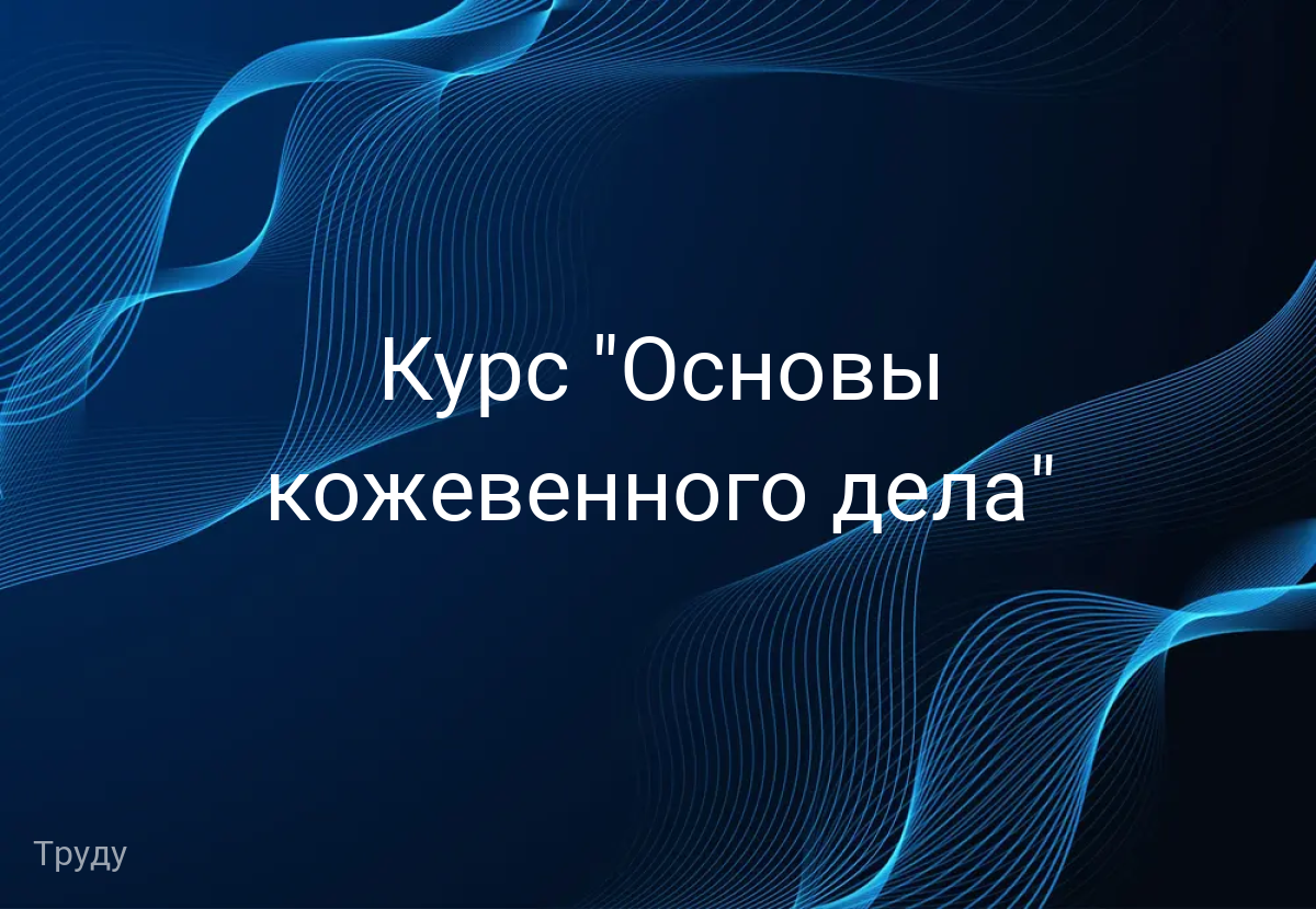 Курс "Основы кожевенного дела"