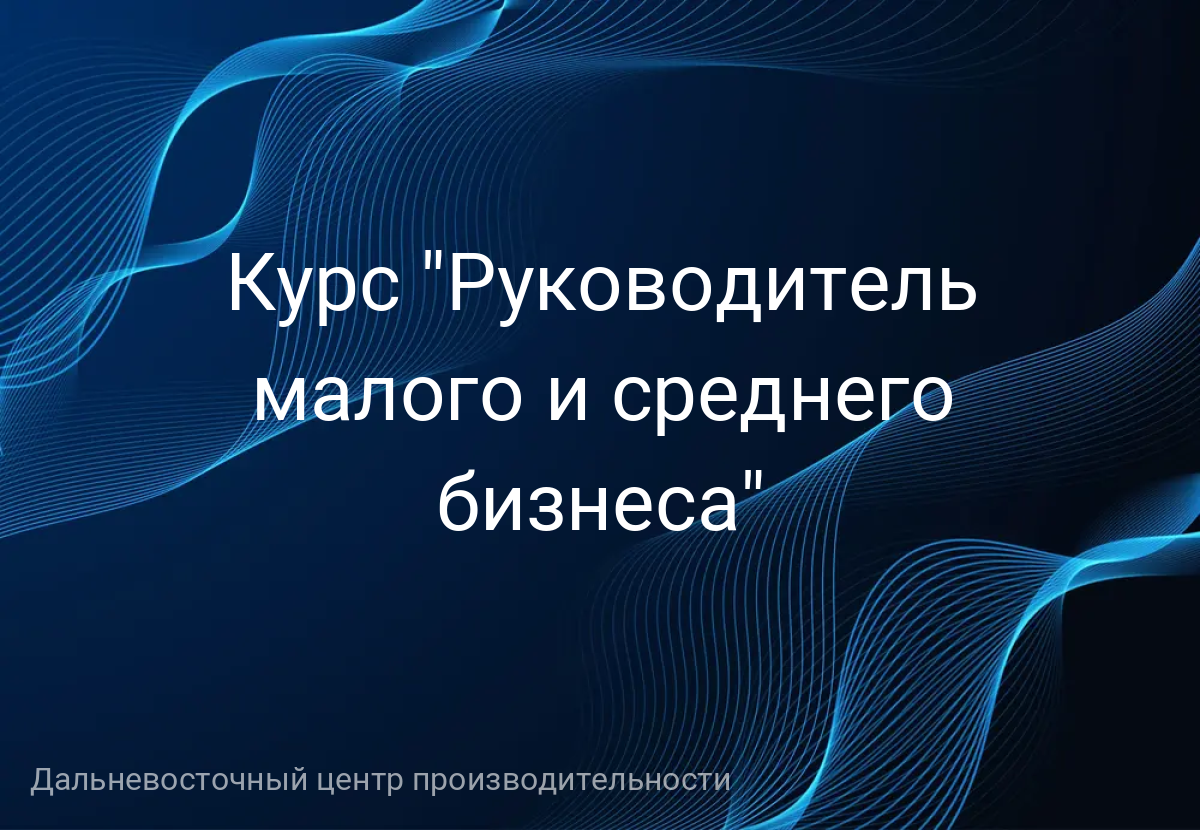 Курс "Руководитель малого и среднего бизнеса"
